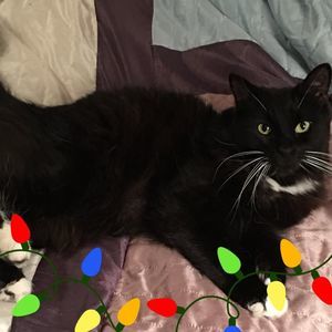 Meet your Posher, Renae